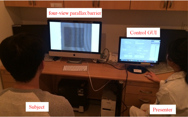 Glasses-free randot stereotest