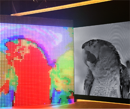 Mixed-primary factorization for dual-frame computational displays