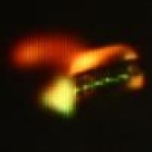 Real-time capturing and 3D visualization method based on integral imaging