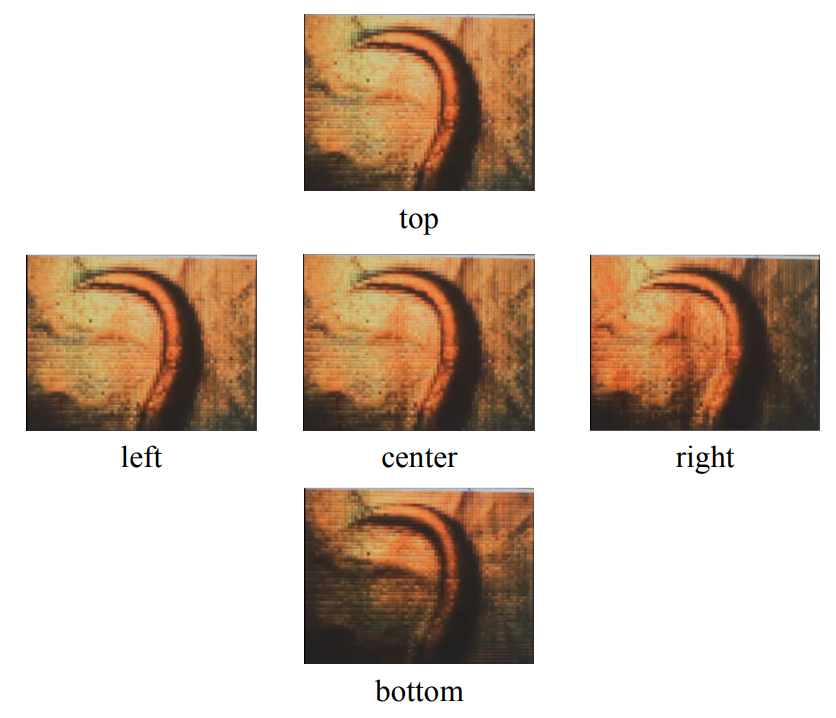 Real-time integral imaging system for light field microscopy